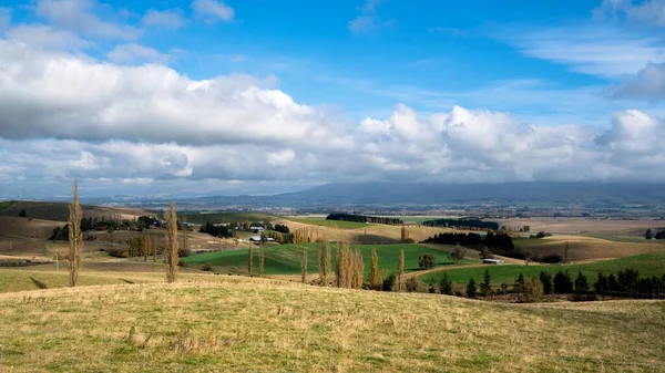 Drone Campi Verdi Alberi Con Case Rurali Sullo Sfondo Nuova — Foto Stock
