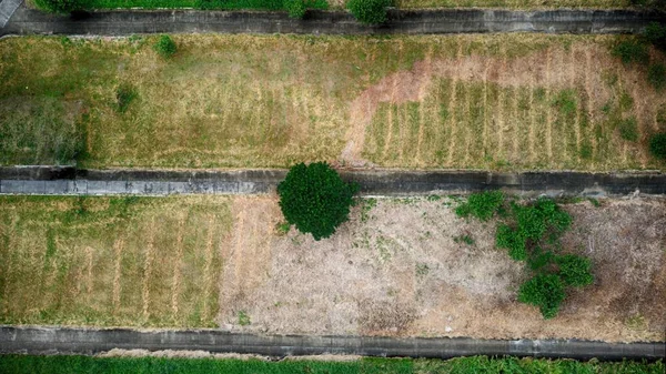 Aerial Top View Park Green Trees Dried Earthy Ground Some — Stock Photo, Image