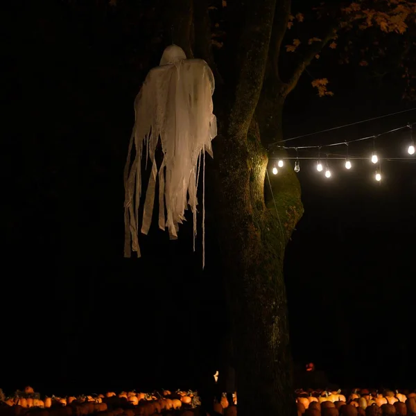 Scary Ghost Costume Hanging Tree Pumpkins Ground Night — Stock Photo, Image