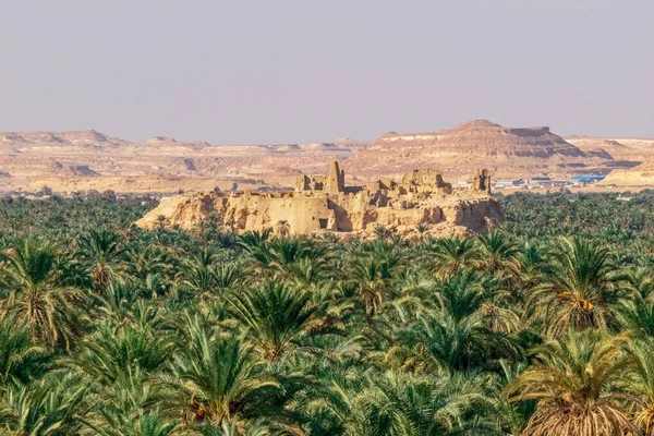 Una Vista Del Paisaje Del Antiguo Templo Oasis Siwa Con — Foto de Stock