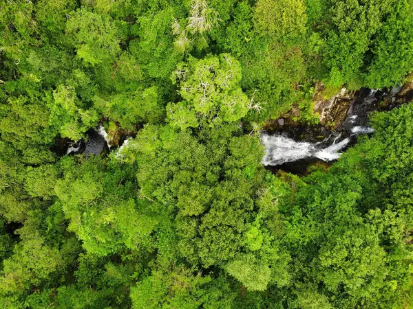 Bird Eye View Waterfalls Kerry Ireland Surrounded Lush Green Trees — Stock Photo, Image