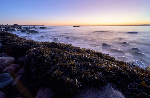 Eine Schöne Aufnahme Großer Bemooster Felsen Der Meeresküste — Stockfoto