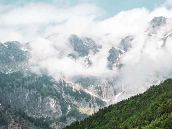 Μια Όμορφη Βολή Του Δάσους Βουνά Στην Ομίχλη Κοντά Στη — Φωτογραφία Αρχείου