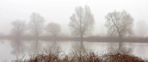Панорамный Снимок Озера Окруженного Деревьями Покрытыми Туманом Мрачный День — стоковое фото