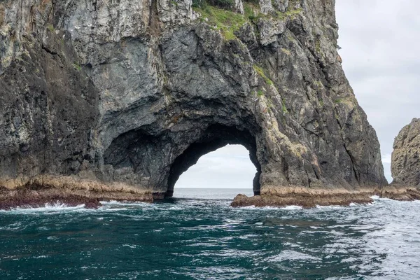 ニュージーランドのピアス島の岩の穴の閉鎖 — ストック写真