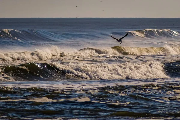 Eine Szene Des Ozeans Schäumenden Wellen Mit Einer Möwe Mit — Stockfoto