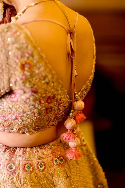 전통적 드레스에 수줍어하는 포즈를 취하는 아름다운 인도의 — 스톡 사진