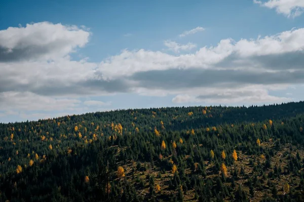 Воздушный Снимок Покрытых Лесом Холмов Облачную Погоду — стоковое фото