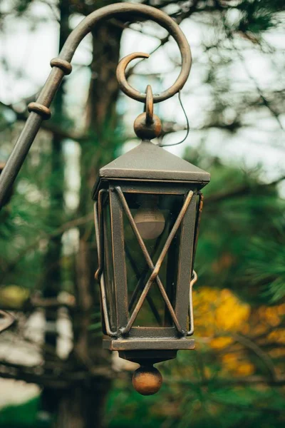 路灯在公园的树上挂着的旧式路灯的软聚焦点 — 图库照片
