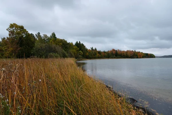 Piękny Jesienny Krajobraz Żółtej Trawy Nad Brzegiem Jeziora Otoczony Kolorowymi — Zdjęcie stockowe