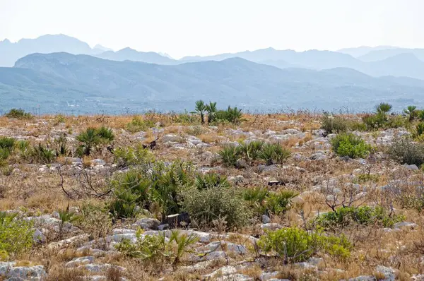 Красивый Дневной Вид Горное Побережье Аликанте Испания — стоковое фото