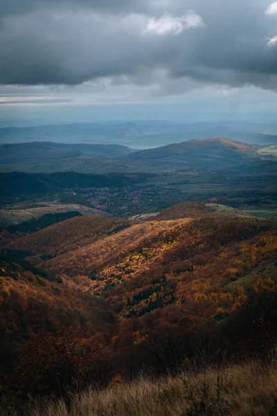 Kasvetli Sonbahar Gökyüzünün Altında Sarı Ormanlarla Kaplı Büyük Dağların Dikey — Stok fotoğraf