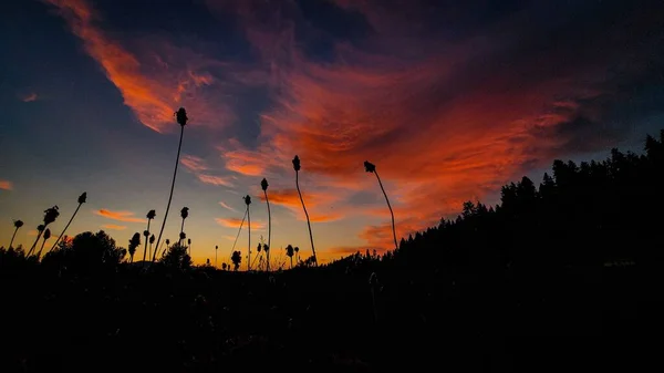 Ηλιοβασίλεμα Στο Στρατόπεδο Γκρίζλι Σκάουτ Ραντς — Φωτογραφία Αρχείου