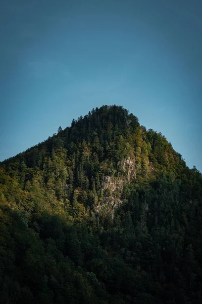 Vertikální Krajina Skalnatých Hor Bujně Zelenými Lesy Pod Modrou Oblohou — Stock fotografie