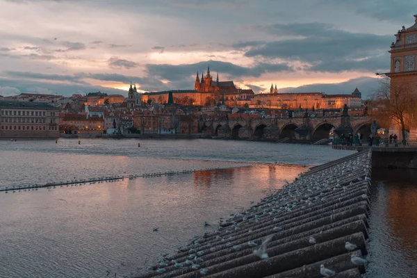 Vitus Katedralen Med Karlsbron Vid Solnedgången Prag Natten — Stockfoto