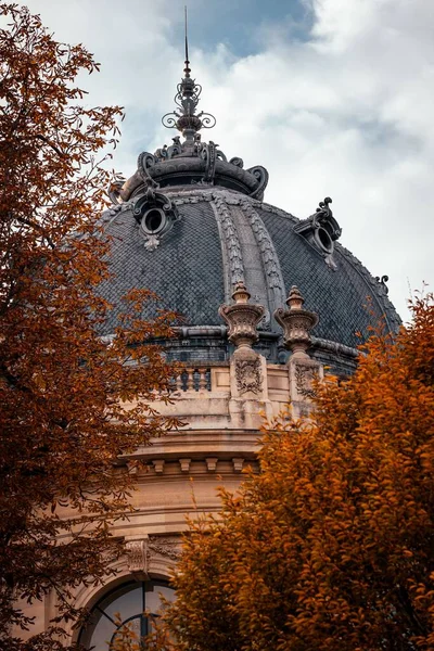 Colpo Verticale Del Petit Palace Parigi Francia — Foto Stock