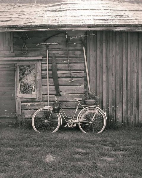 Una Escala Grises Una Vieja Bicicleta Con Flores Delante Una — Foto de Stock