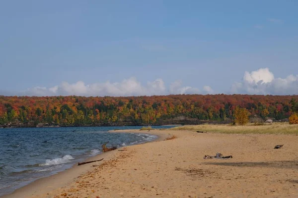 背景为五彩缤纷的秋树的沙滩湖滨景观 — 图库照片