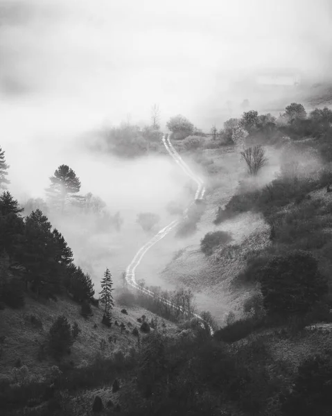 Vzdušný Snímek Venkovské Silnice Lesa Zamlženém Ránu — Stock fotografie