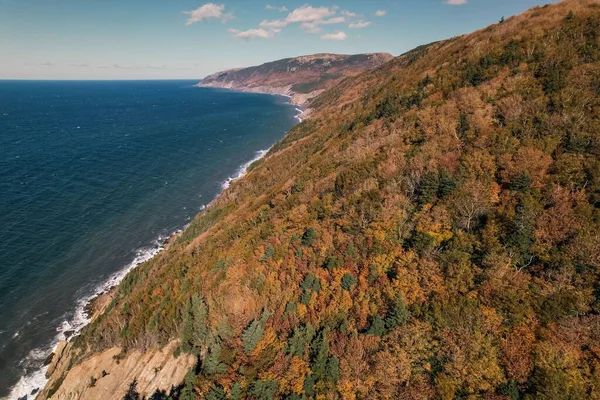 Zdjęcie Lotnicze Kolorowych Jesiennych Drzew Zboczu Góry Nad Błękitnym Morzem — Zdjęcie stockowe
