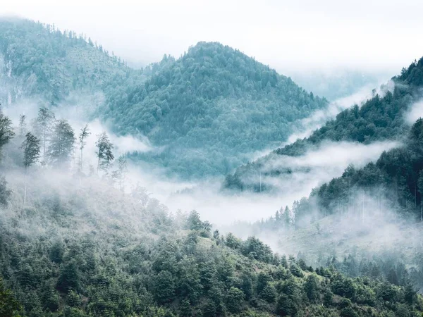 Hermoso Tiro Montañas Del Bosque Niebla Cerca Del Lago Alm —  Fotos de Stock