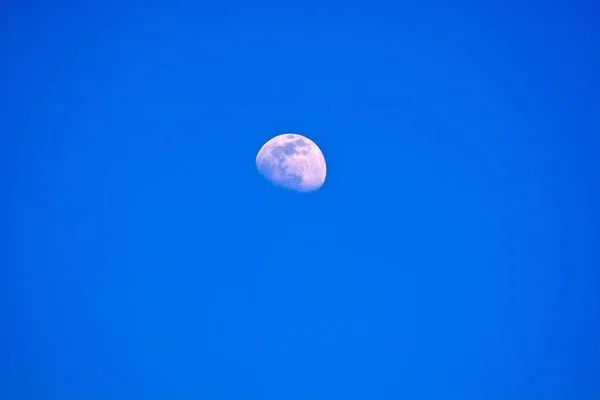 Vacker Måne Med Sina Kratrar Ses Den Klara Dagtid Himlen — Stockfoto