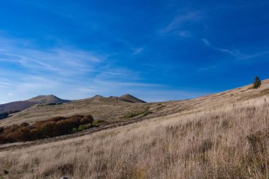 Polonya 'da kuru bir saman tarlasının yanındaki Bieszczady Dağlarının güzel manzarası