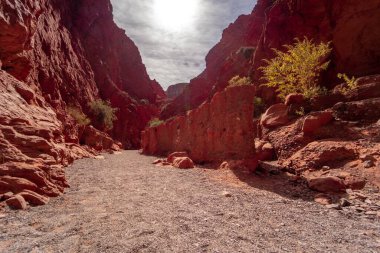 Quebrada de la Senoritas Uquia Köyü 'ndeki Quebrada de Humahuaca, Jujuy, Arjantin