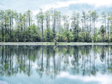 Alm Gölü 'nün güzel bir görüntüsü Grunau im Almtal köyünün yakınındaki çevreyi yansıtıyor.