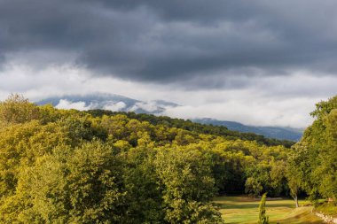 Ağaçların üzerinde bulutlu bir gökyüzünün güzel manzarası..