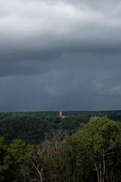 A vertical of a church in the middle of the dense forest with the rainy clouds in the background