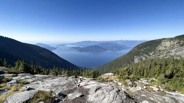 Widok Powietrza Piękny Las Pobliżu Gór Kanada — Zdjęcie stockowe