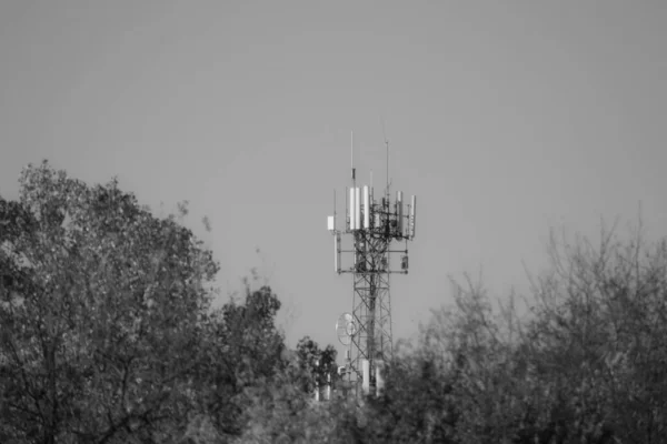 Graustufenaufnahme Eines Mobilfunkmastes Mit Bäumen Vordergrund — Stockfoto
