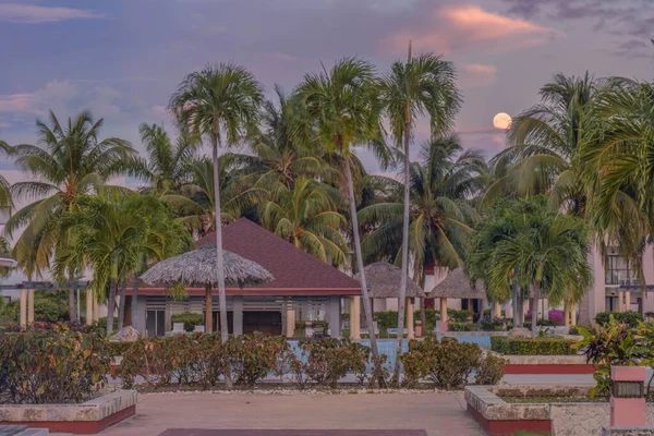 Ein Von Palmen Umgebener Außenpool Einem Hotel Varadero Kuba — Stockfoto
