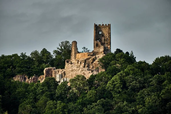 中世の城の水平なショットドイツ ケーニヒスウィンターの森の丘の上にDrachenffels — ストック写真