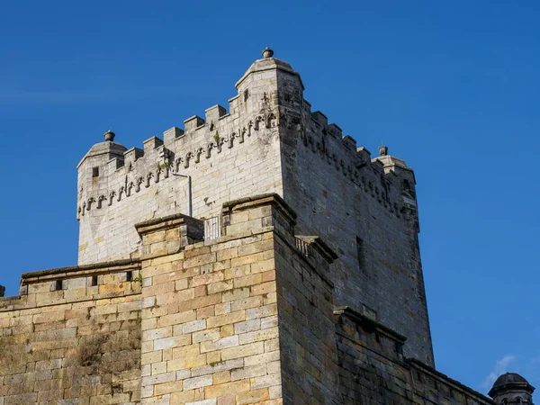 Una Splendida Vista Del Castello Storico Della Città Bad Bentheim — Foto Stock