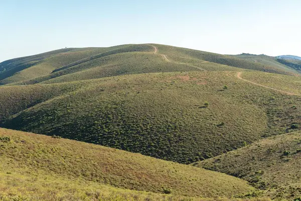 Ένα Αγροτικό Τοπίο Καταπράσινα Λιβάδια Στην Πλαγιά Του Λόφου Κάτω — Φωτογραφία Αρχείου