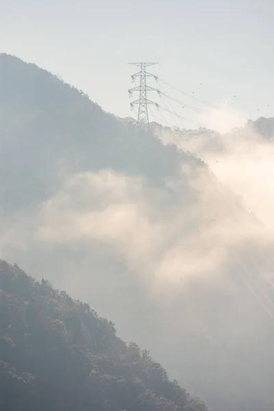 霧に覆われた木々に覆われた山々のイメージ — ストック写真