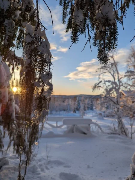 Pionowy Strzał Śnieżnego Krajobrazu Słońcem Świecącym Bezchmurnym Niebie Laponii Szwecja — Zdjęcie stockowe