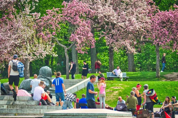 Eine Gruppe Von Menschen Genießt Ihren Tag Einem Immergrünen Park — Stockfoto