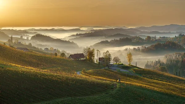 Dichte Mist Schilderachtige Weiden Van Zuid Steiermarkse Wijnroute Oostenrijk — Stockfoto