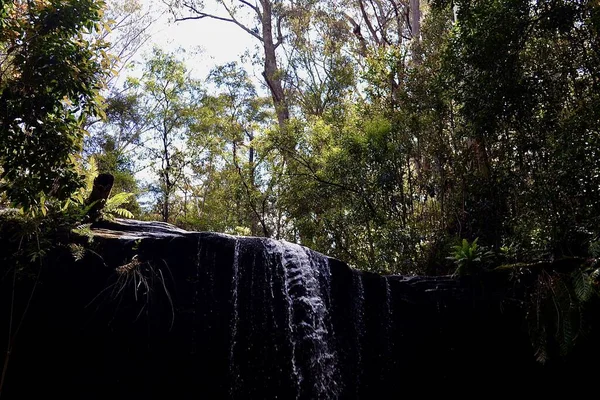 Een Kleine Waterval Het Blue Mountains National Park Australië — Stockfoto