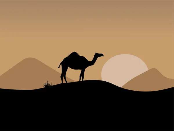 Cyfrowa Ilustracja Sylwetki Wielbłąda Zachodzie Słońca Pustynne Tło — Wektor stockowy