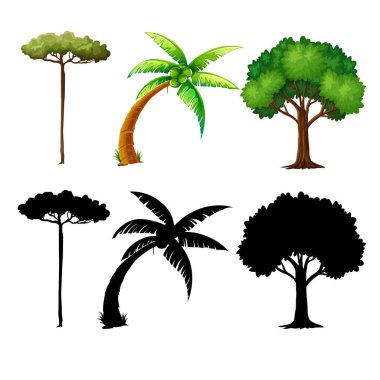 farklı ağaç beyaz zemin üzerine izole kümesi