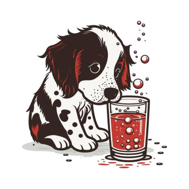 Tatlı köpek bir bardak suya bakıyor.