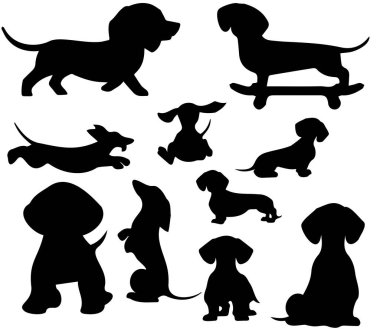 Çeşit çeşit oynak dachshund köpekleri.