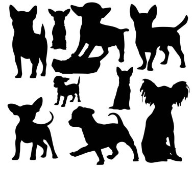 Çeşitli küçük köpek türlerinin siluetleri.