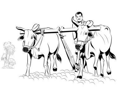 İki öküzle tarla süren adam.