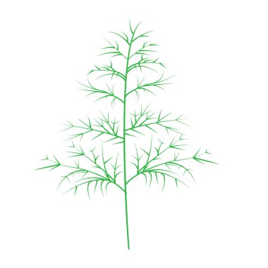 Birden fazla ince dalları olan tek yeşil bitki gövdesi dışarıya doğru yayılıyor.