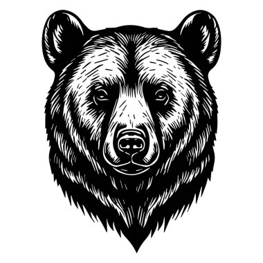 Detaylı kürk ve ifade içeren bir ayı kafasının siyah ve beyaz çizimi